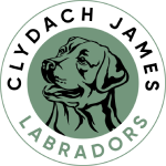 Clydach James Labradors