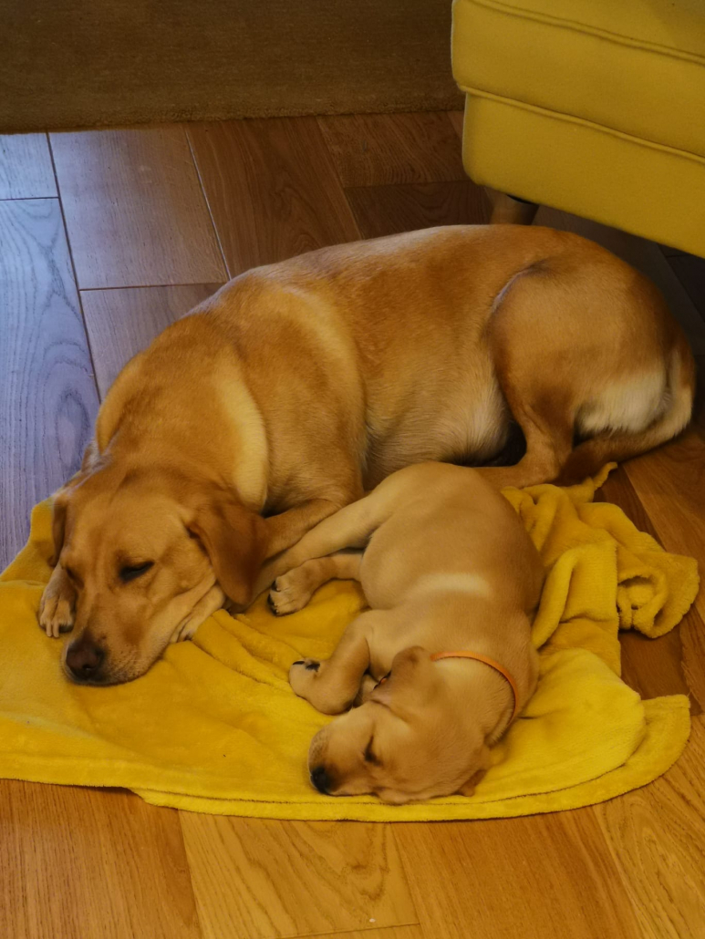 010e1c7b-0c86-494a-9f1e-ac2f17b9ddab